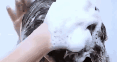 IMG_3681.gif